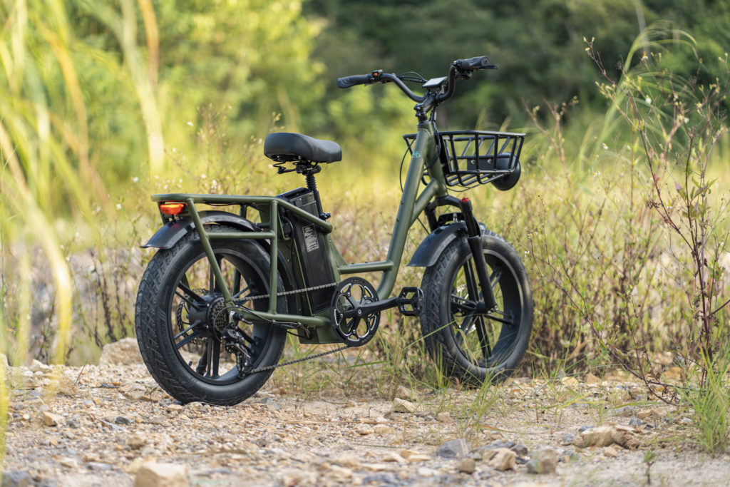 Fiido T1-Cargo Electric Bike - Panmi