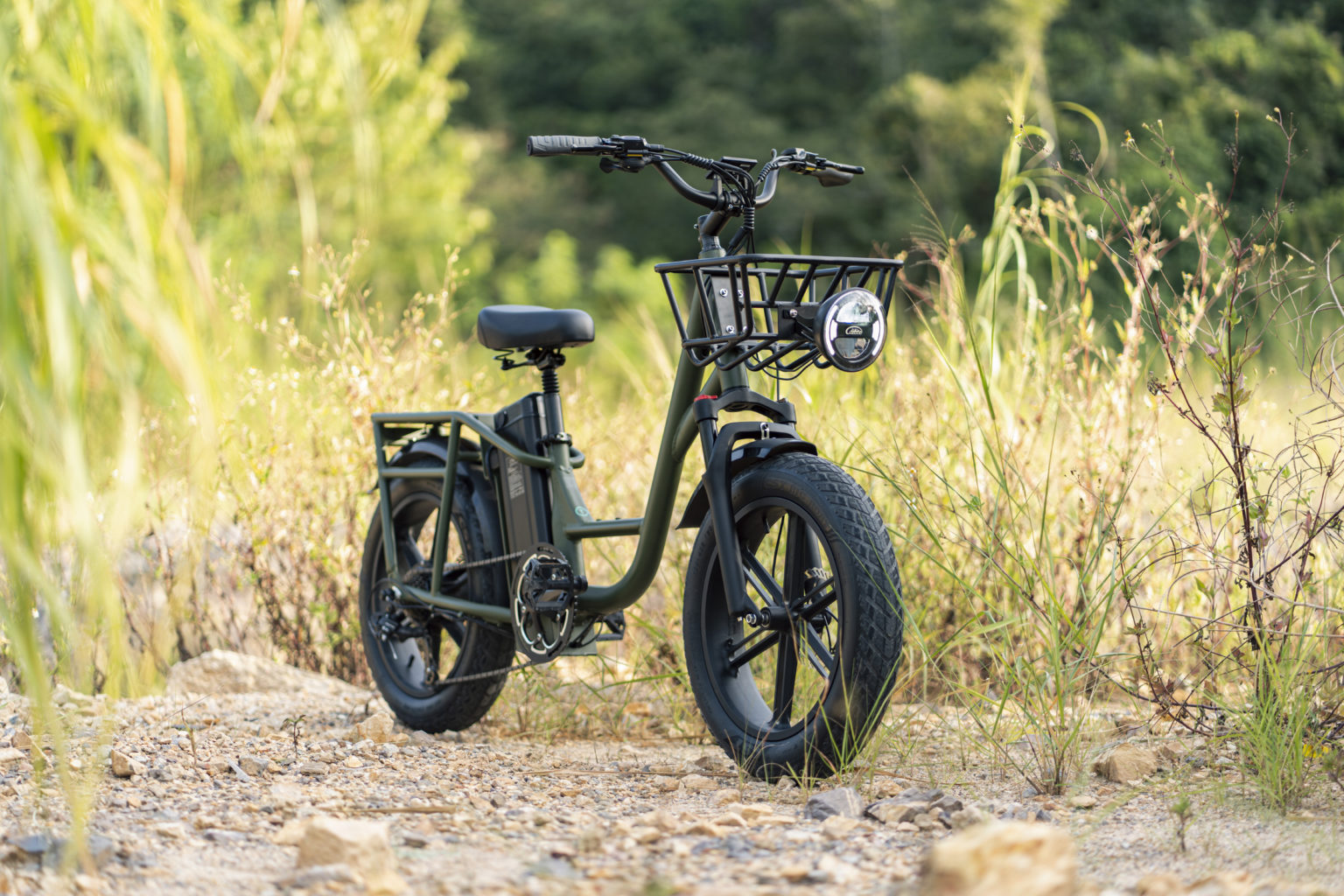 Fiido T1-cargo Electric Bike - Panmi